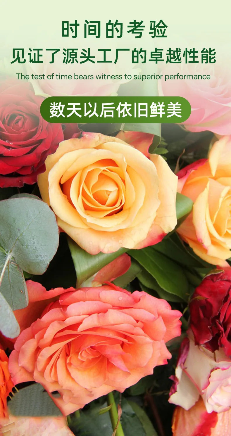 HXL Flower Shop Commercial Fresh Flower Preservation Cabinet Large Capacity Air-Cooled Freezer Refrigerated Fresh Preservation