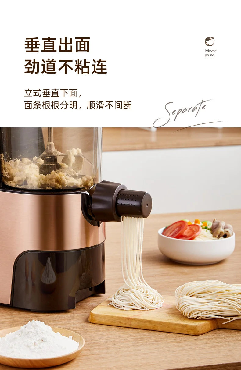 Household kitchens new automatic small  pasta machine intelligent pasta press electric beating and pasta machine