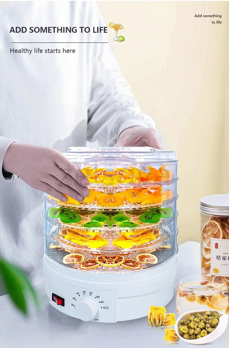 Small Transparent Food Grade Dehydrator Heating Fruit and Vegetable Fruit Pet Meat Dryer Household Dried Fruit Machine