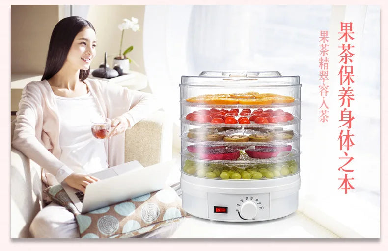 Vegetable dried fruit machine food dehydrator household 110V fruit dryer pet food hot air dryer