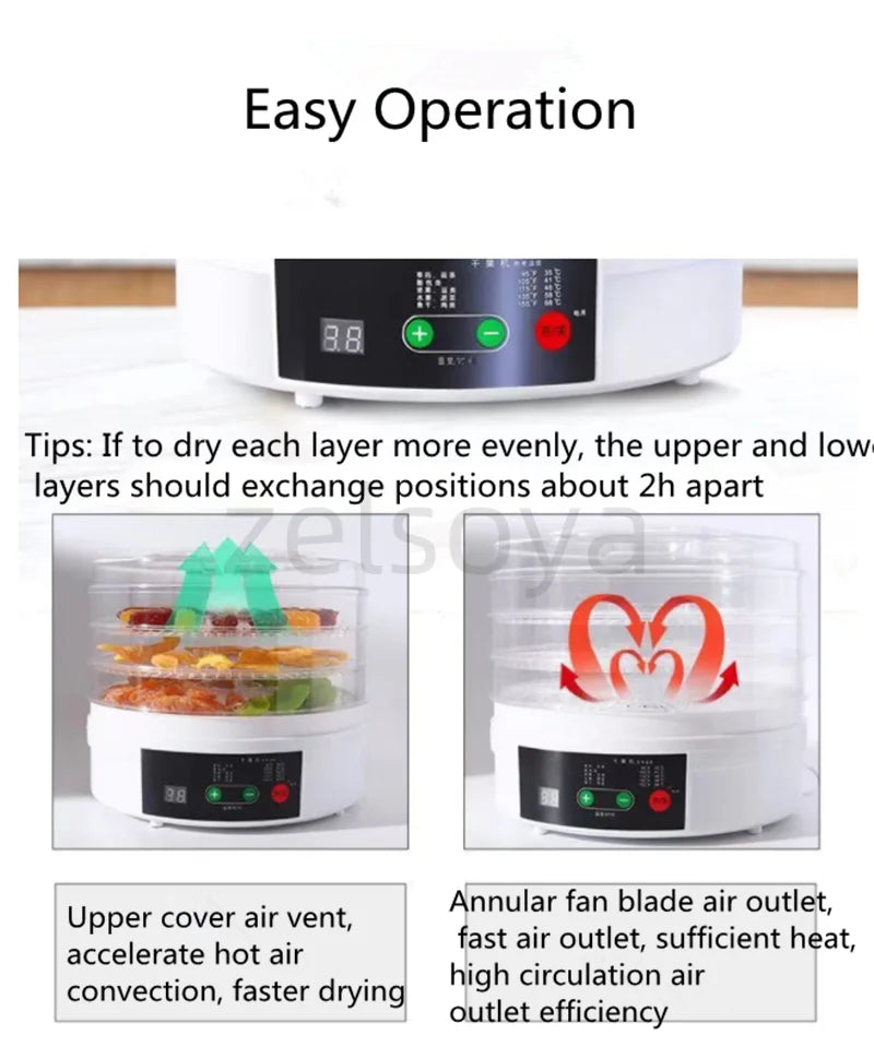 Small Transparent Food Grade Dehydrator Heating Fruit and Vegetable Fruit Pet Meat Dryer Household Dried Fruit Machine