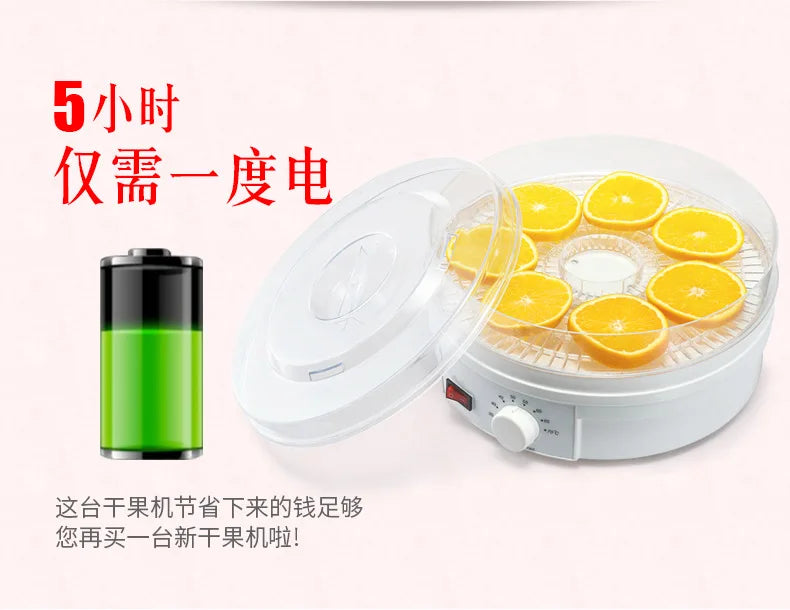 Vegetable dried fruit machine food dehydrator household 110V fruit dryer pet food hot air dryer
