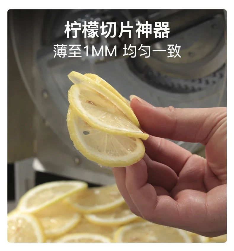 Commercial stainless steel electric slicer for cutting garlic and lemon slices, fruit slices and thin slices