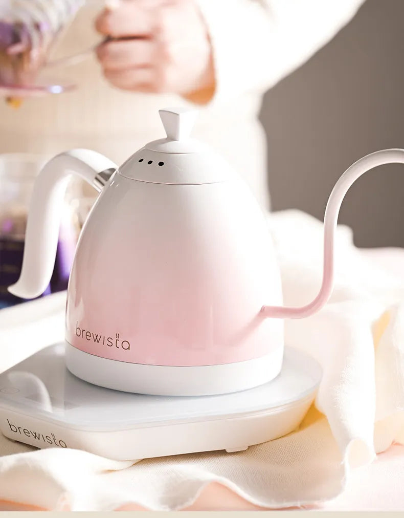 Brewista Pro Gradient Color Coffee Pot Stainless Steel Temperature Controlled 0.6l Thin Spout Gooseneck Pour Over Water Kettle