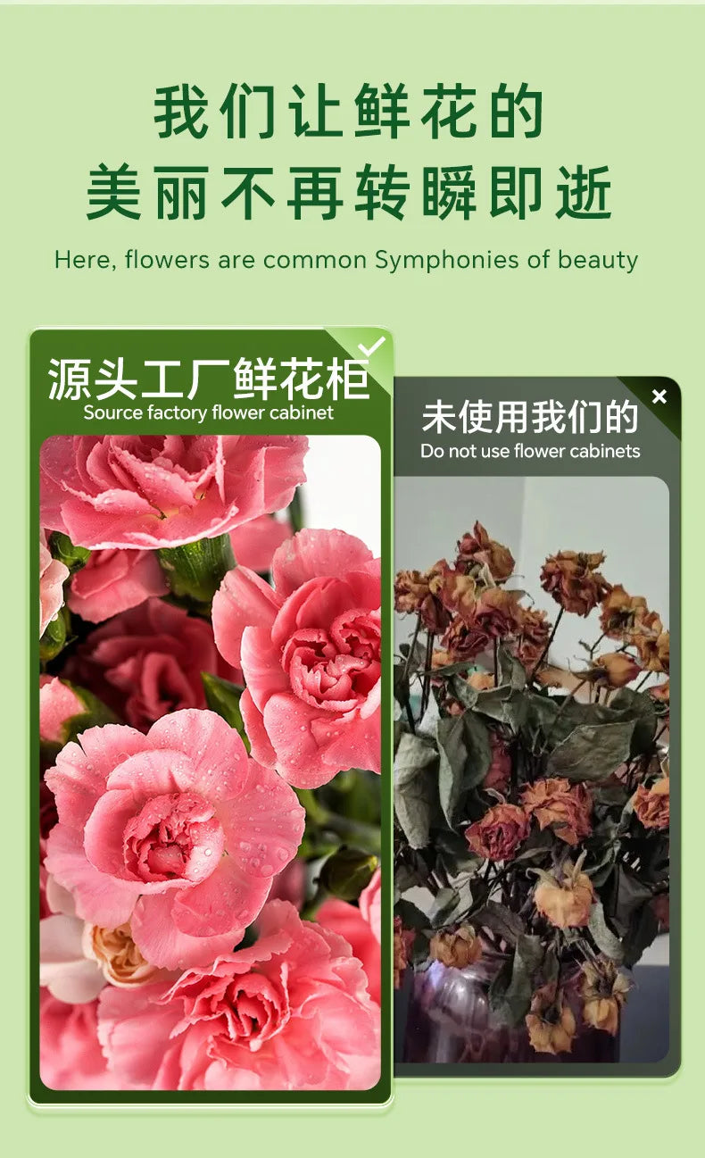 HXL Flower Shop Commercial Fresh Flower Preservation Cabinet Large Capacity Air-Cooled Freezer Refrigerated Fresh Preservation