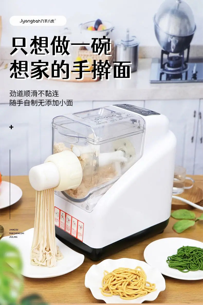 Household Automatic Noodle Machine Electric Small Multi-functional Pasta Maker
