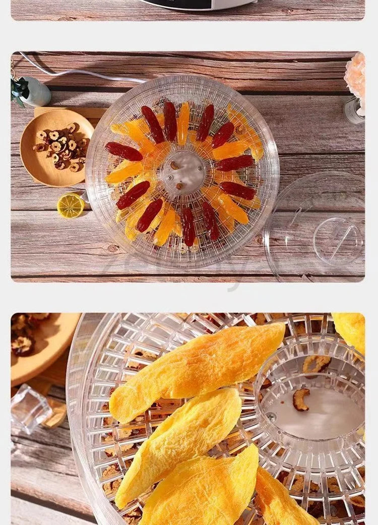 Small Transparent Food Grade Dehydrator Heating Fruit and Vegetable Fruit Pet Meat Dryer Household Dried Fruit Machine